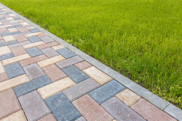 Best Local Driveway Pavers  in Dayton, VA